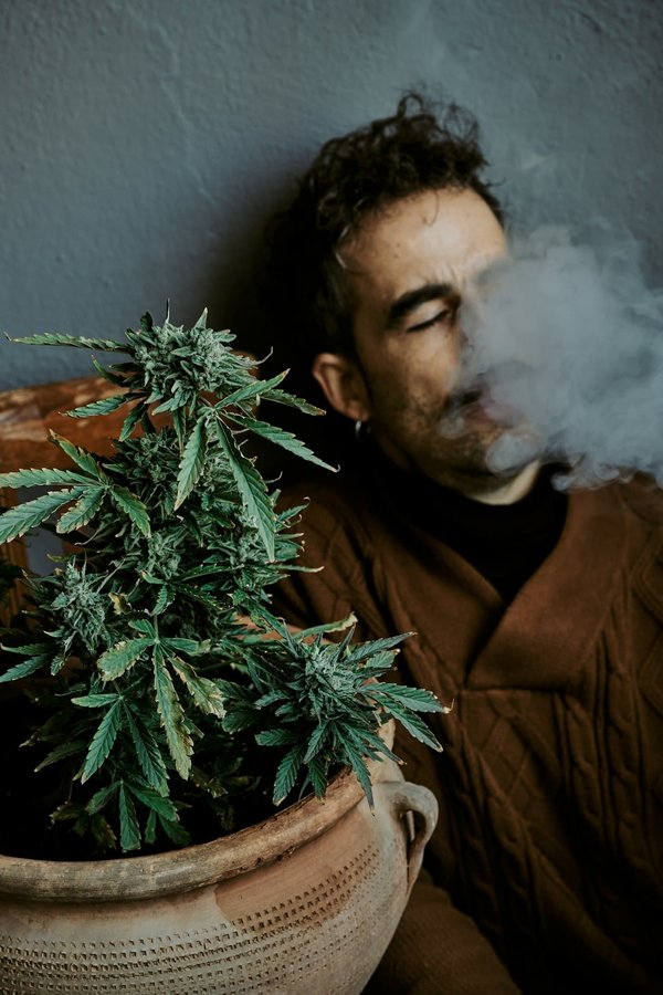 Bénéfices du cbd : quelles sont les preuves scientifiques ?