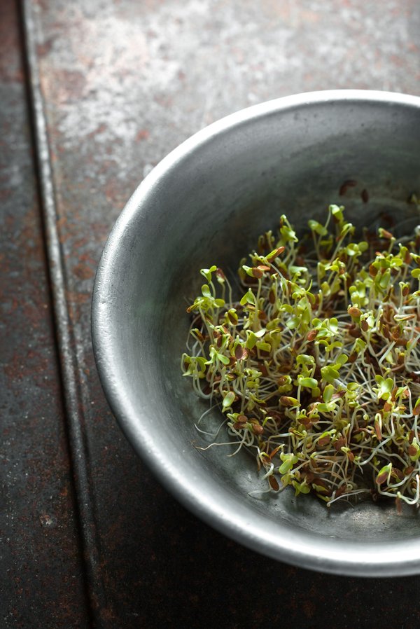 Plante drainante lymphatique : soutien naturel pour votre système immunitaire