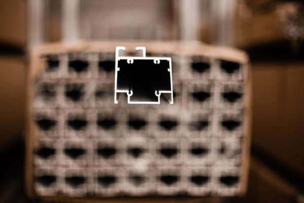 Pourquoi est-il préférable de faire appel à un professionnel pour désinsectiser votre logement ?